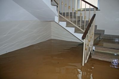 Basement Stairs Repair